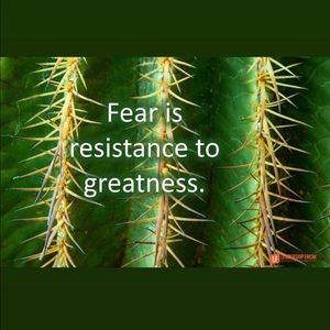 Meet your Posher, Dailyn